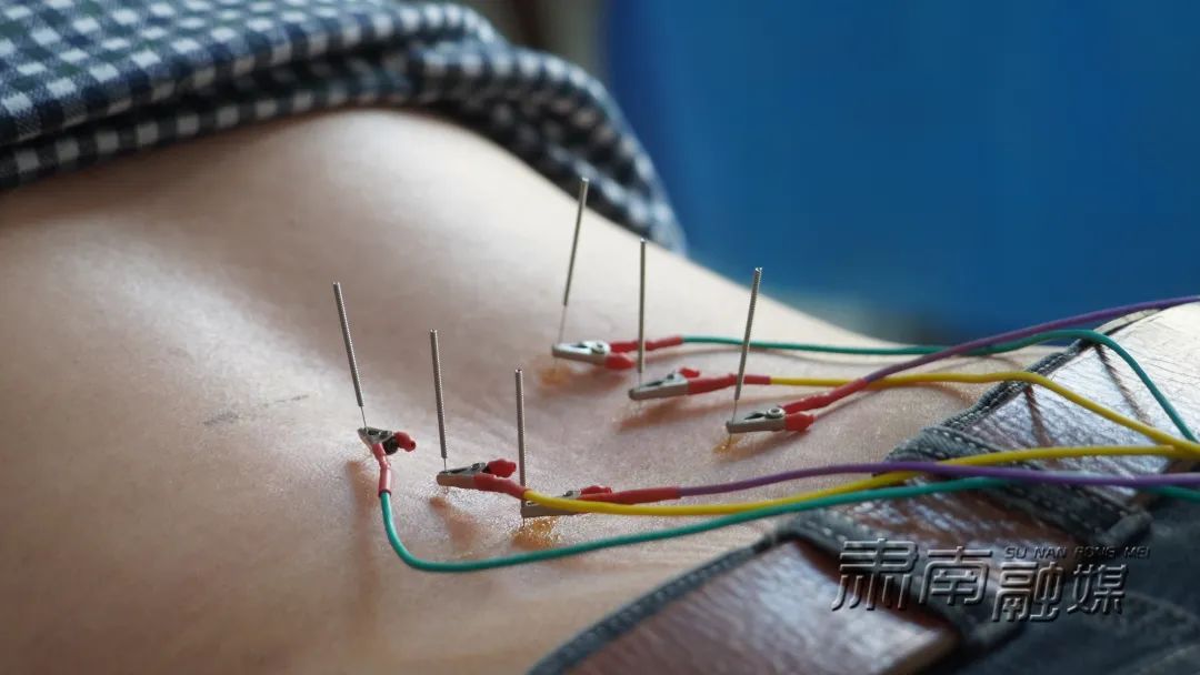 奋进新征程建功新时代肃南发挥中医药优势守护百姓健康