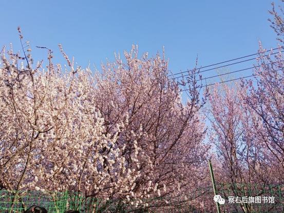 二等奖获奖者:梁英梅 姚学慧 宋利芬三等奖获奖作品三等奖获奖者:于文