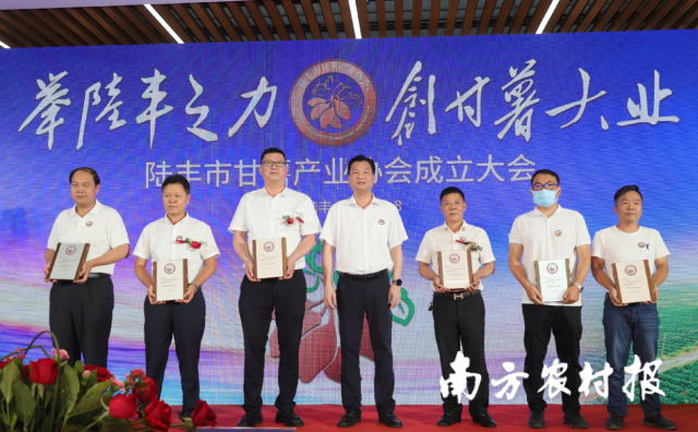 汕尾市农业农村局局长吕小慈为陆丰市甘薯产业协会相