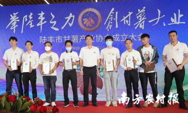 汕尾市农业农村局局长吕小慈为陆丰市甘薯产业协会相