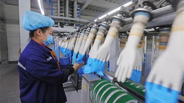 河北滦南丁腈手套生产忙