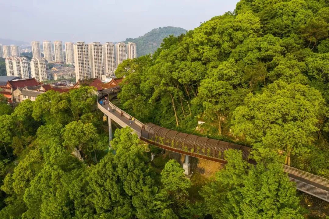 五大攻坚丨白云山云中绿道二期工程紧张施工中