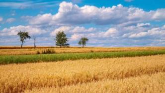 全球最大钾肥生产商警告，世界粮食危机可能延续到2023年