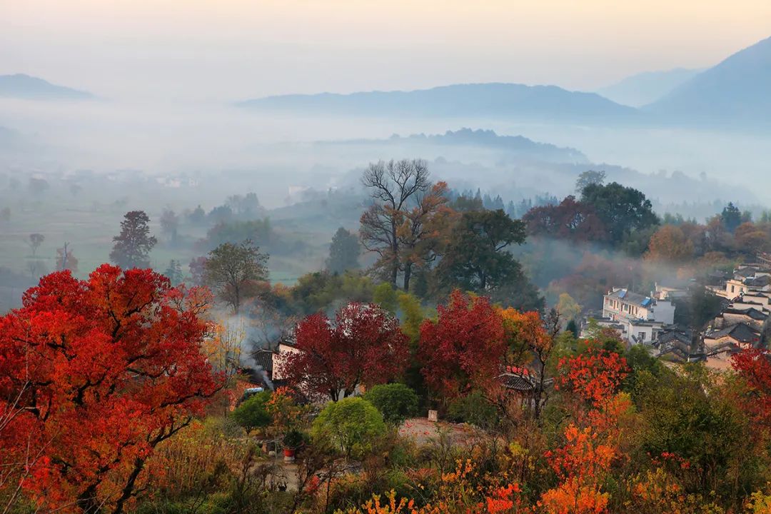 好消息塔川秋色成功入选全国仅15处