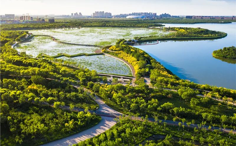 期待出行改善景色靓丽天津东丽湖区域即将大变样