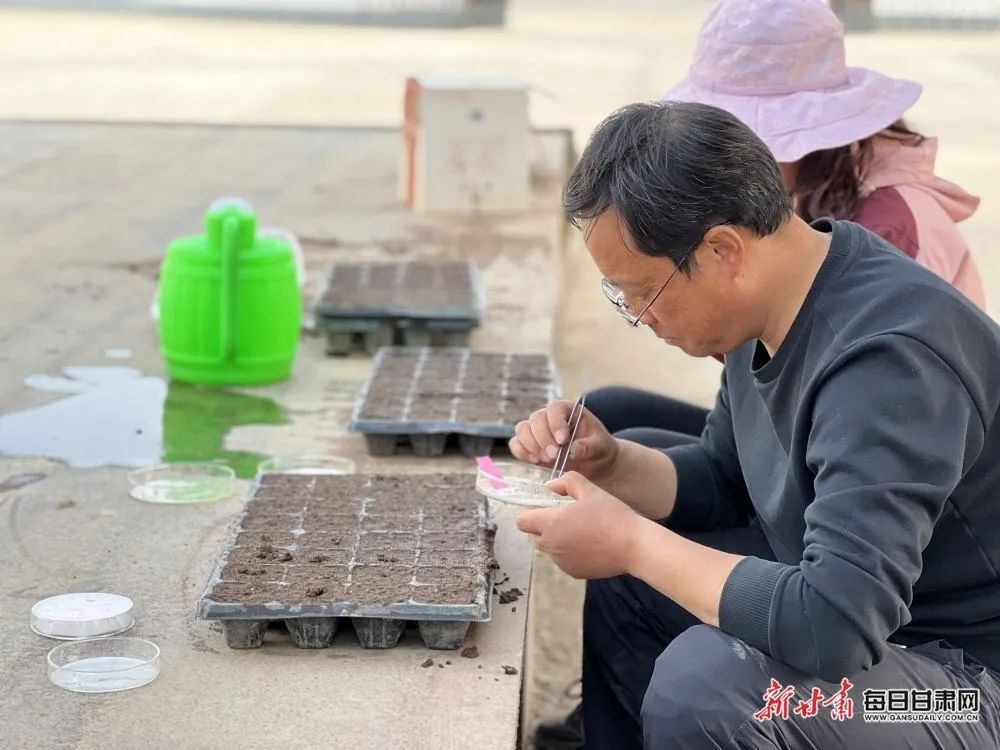 J9九游会 九游会J9【小康路上看老乡】种出好马铃薯是他一生的工作 记庄浪县农技中心农艺师苏小龙(图4)