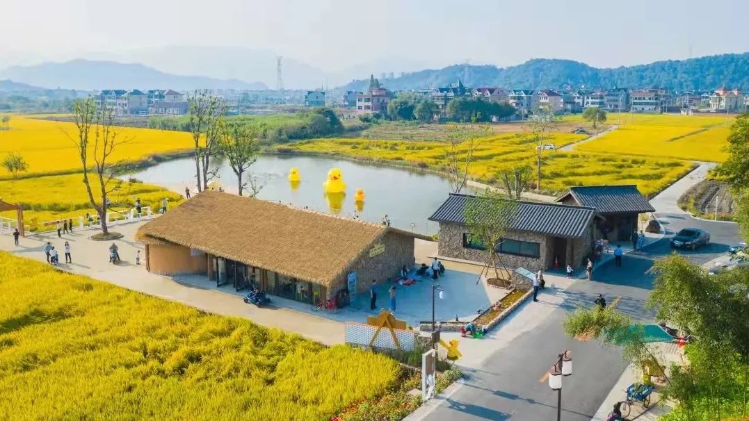 同奔共富路丨临浦镇横一村从卖柿子到卖风景撬动共同富裕的杠杆