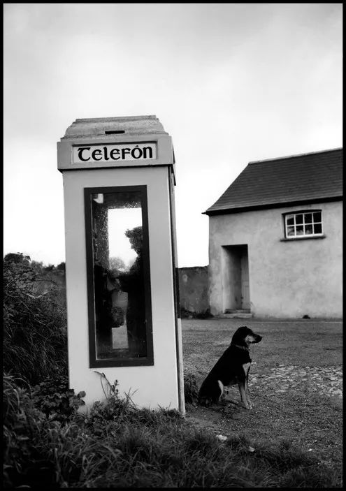 艾略特厄威特elliotterwitt