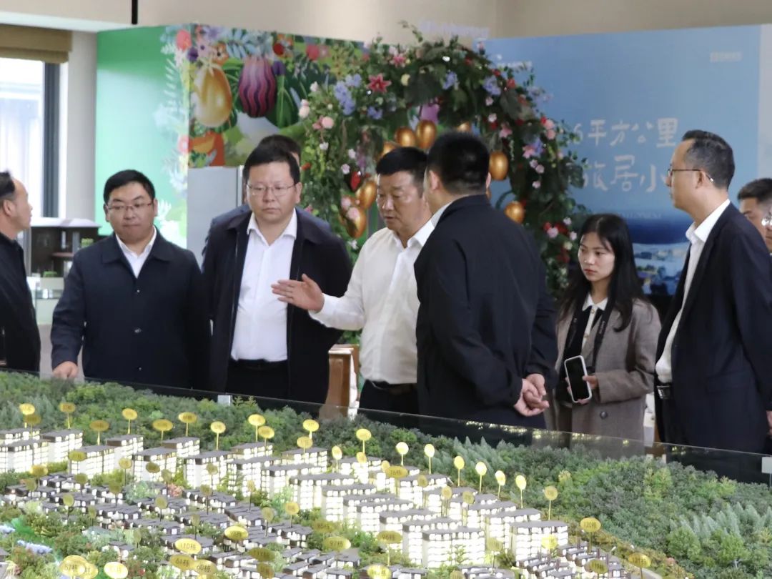 马子兴调研文旅项目