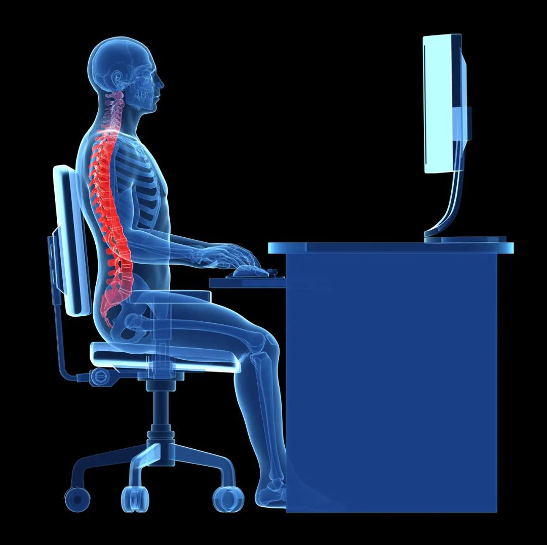 你的坐姿正確嗎？6步驟矯正坐姿，從此告別腰痠背痛！ - 身體智慧官網-脊椎健康教育的領導品牌