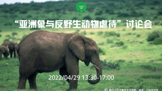 绿会政研室致函国家林业和草原局：建议以亚洲象事件为契机，构建生态文明的生物伦理