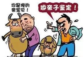 活久见广西两老人斥巨资给牛做亲子鉴定