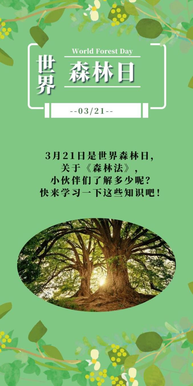 法律法规世界森林日一图读懂森林法