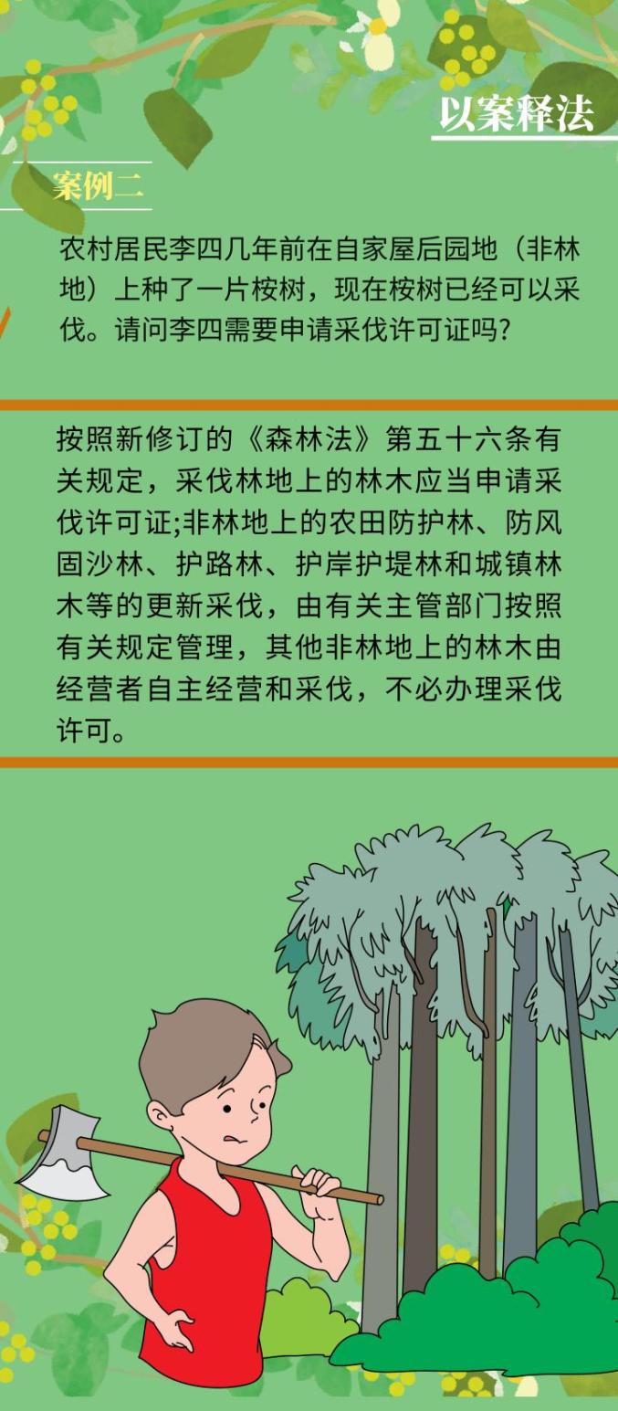 法律法规世界森林日一图读懂森林法