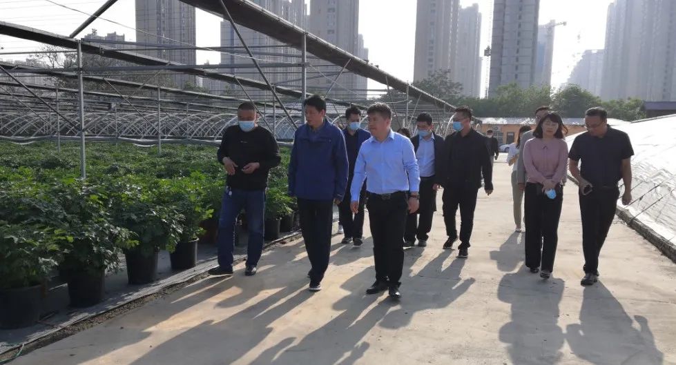 5月10日下午,洛阳市委统战部二级调研员李遵安带领市乡贤返乡创业工作