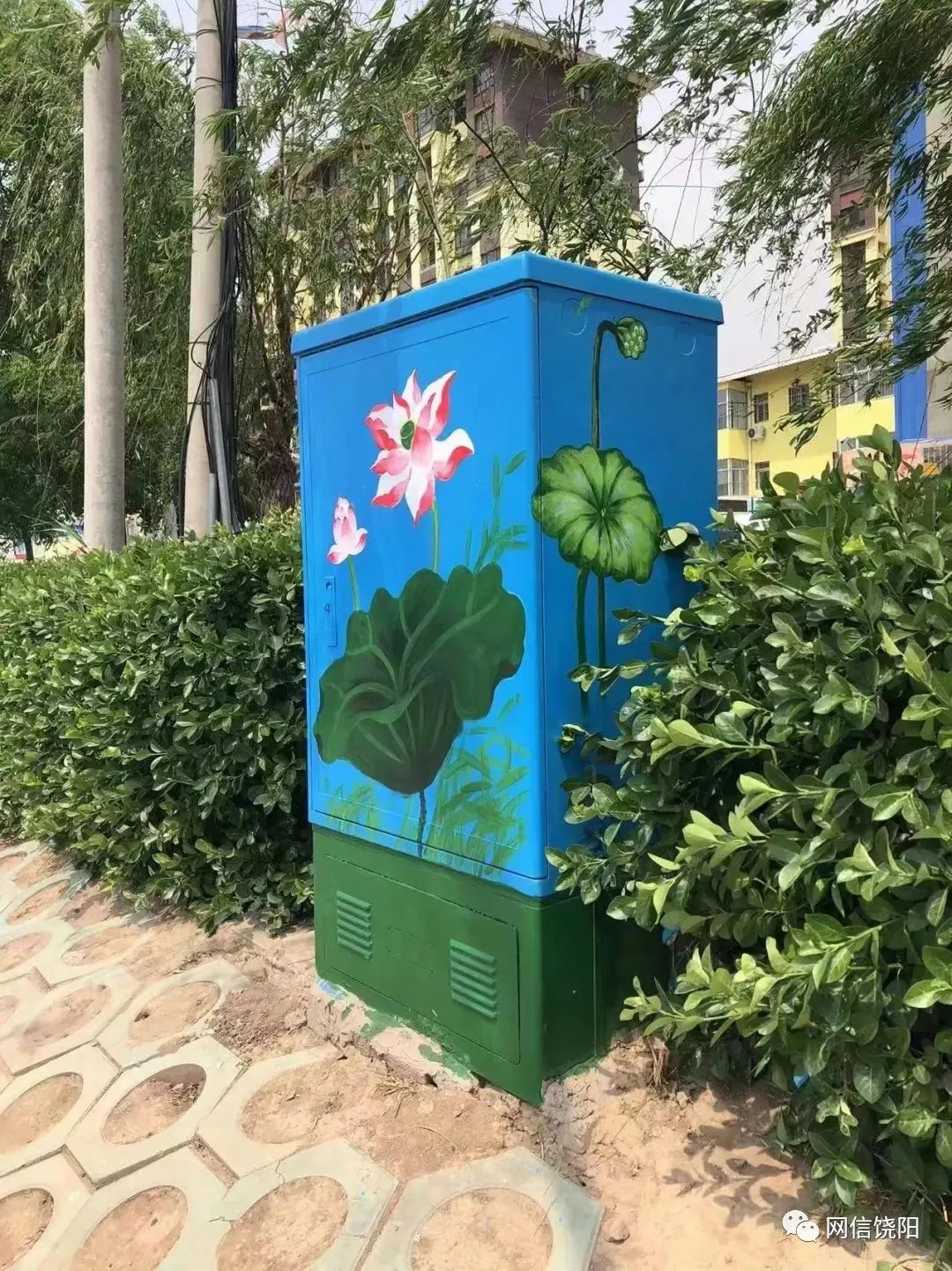 创城新镜头邀你来打卡冀州古城特色彩绘电箱变身网红打卡点