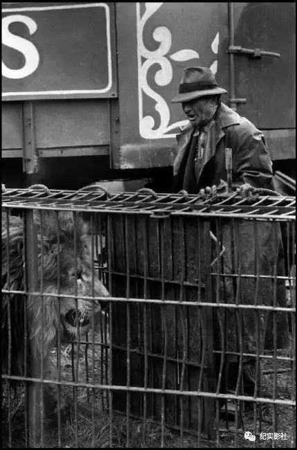 bruce davidson 布魯斯·戴維森:馬戲團_眼光_澎湃新聞-the paper