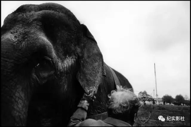 bruce davidson 布魯斯·戴維森:馬戲團_眼光_澎湃新聞-the paper