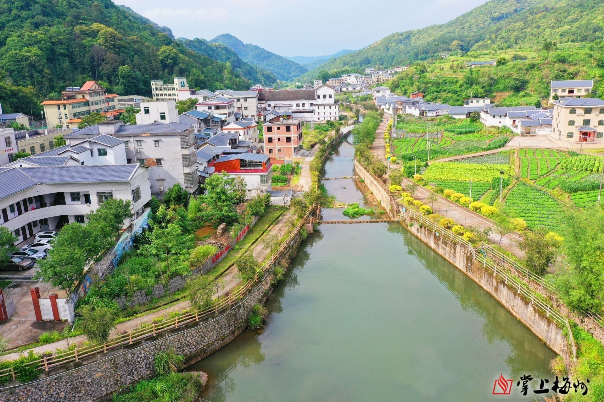 听耳畔流水叮咛观水面鹅鸭嬉戏这是平远上举镇绿色河道