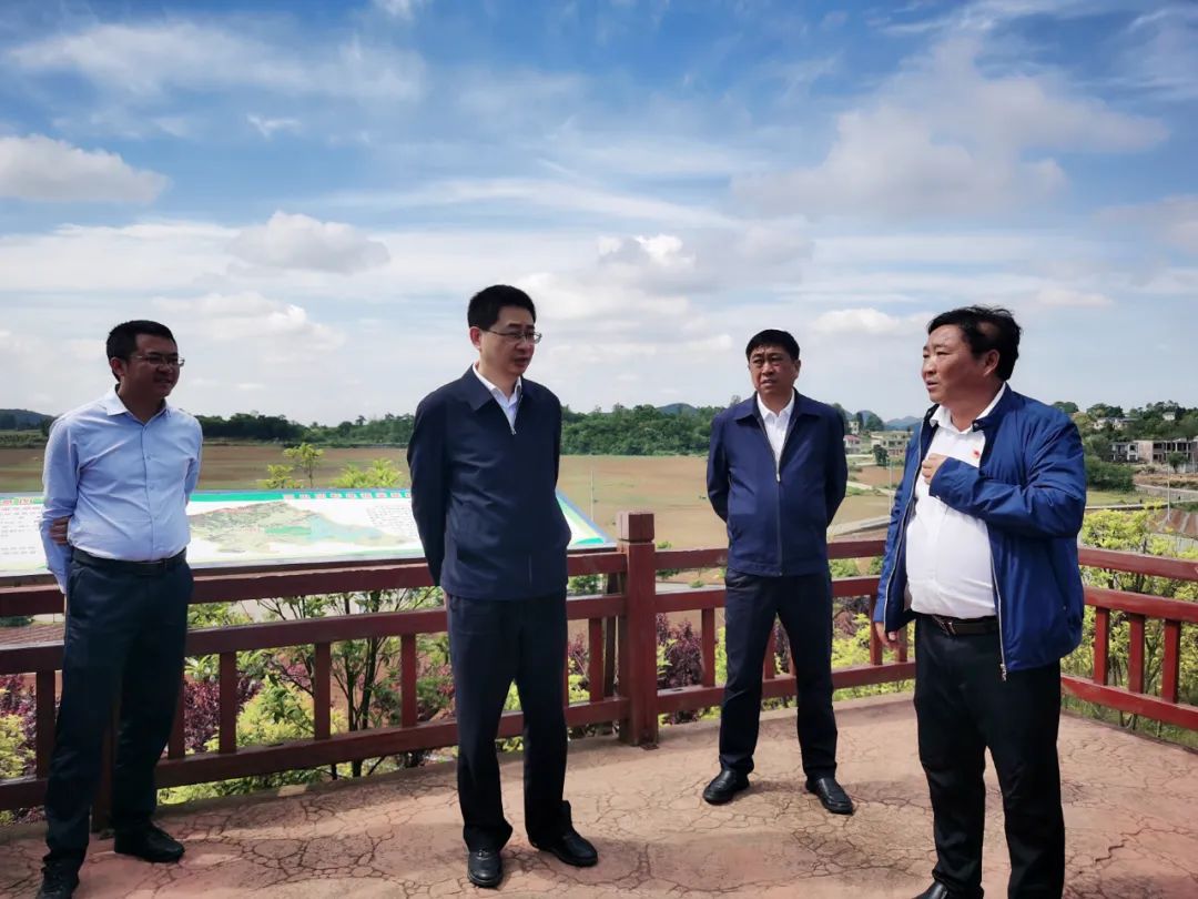 考察组先后深入到平坝区十里五万亩高标准蔬菜示范区高田基地,乐平镇
