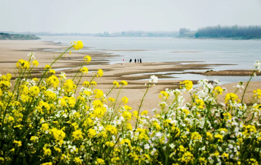 枝江要从一条江说起