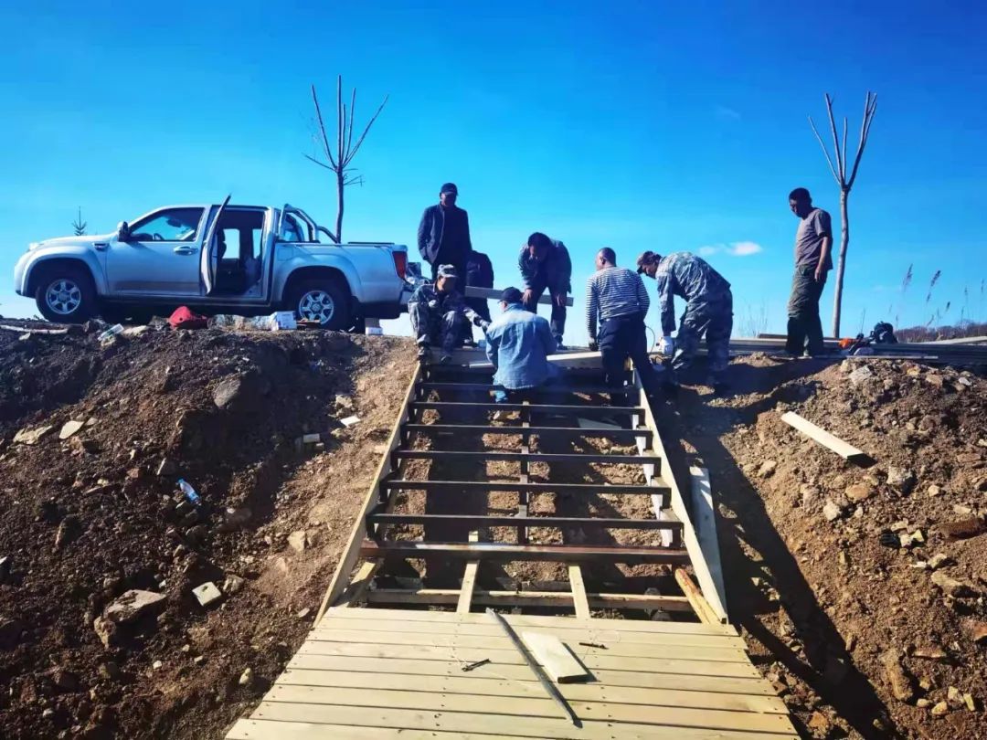 生態立企通北苗圃基地建設忙林區大地煥生機