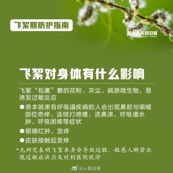 杨柳絮过敏生怨气济南一男子掏出打火机刑拘