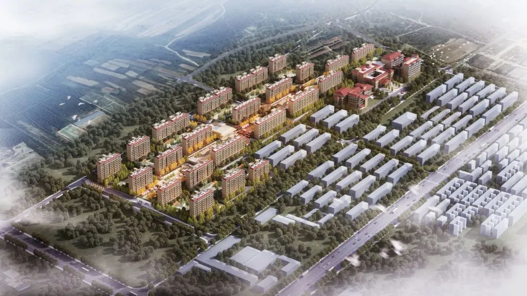 莱州打造中国长寿之乡新名片