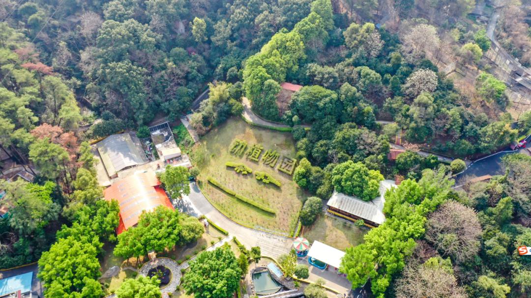 華南虎園韶關國家森林公園,距離市中心僅有兩公里的路程,佔地遼闊