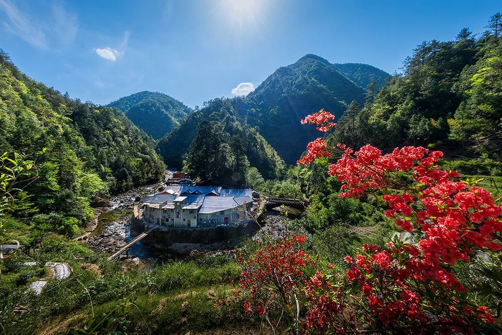 庆元有个浙南九寨沟三井溪