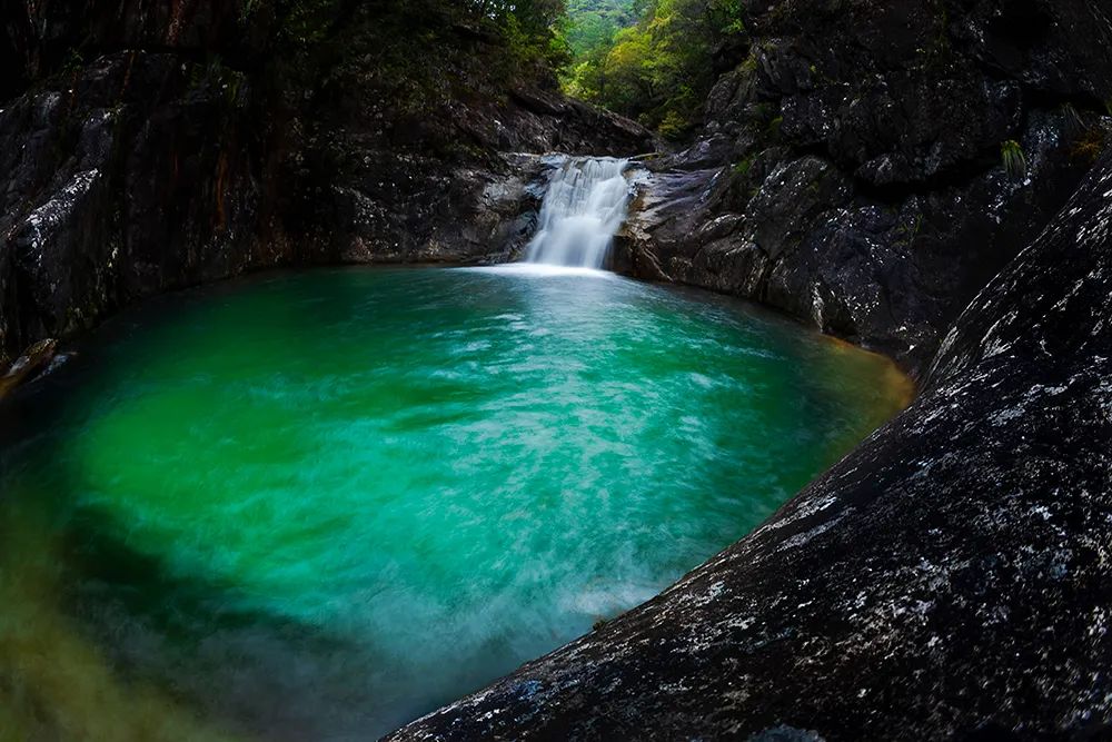 庆元有个浙南九寨沟三井溪