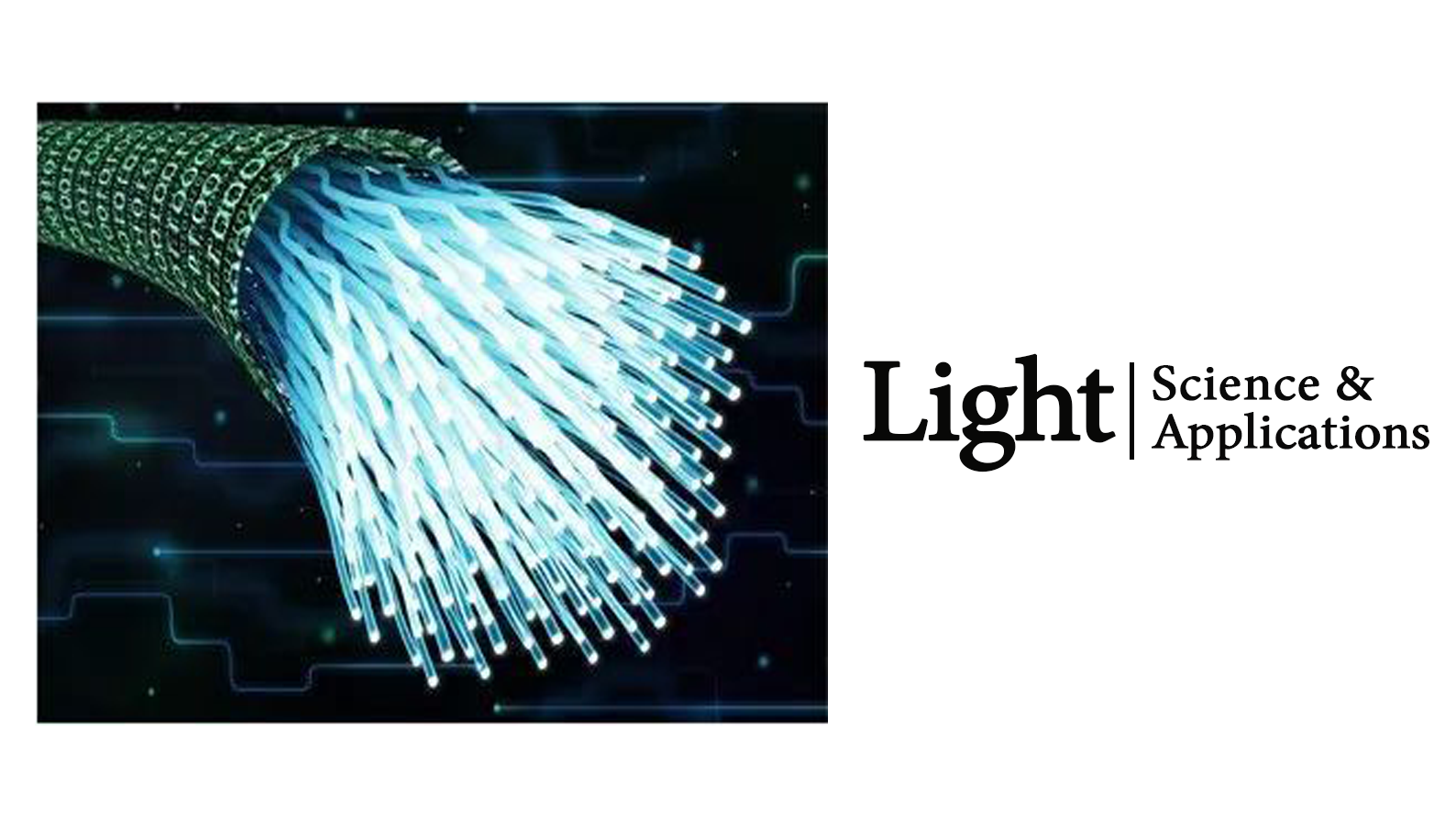 Light | 拉曼分布式光纤传感技术