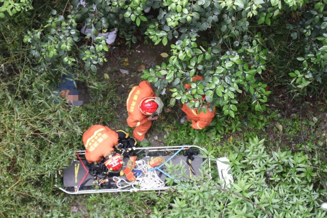 看着他跨过大桥护栏跳了下去……"120急救中心,巡特警大队,南城派出所