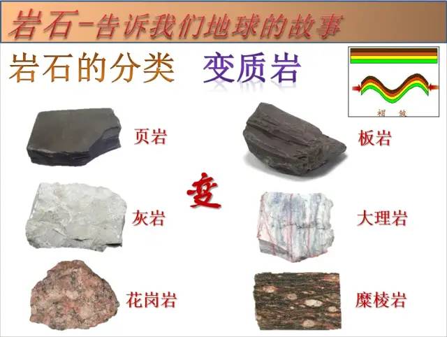 院士专家校园行 陈华勇教授到沙面小学科普地理知识