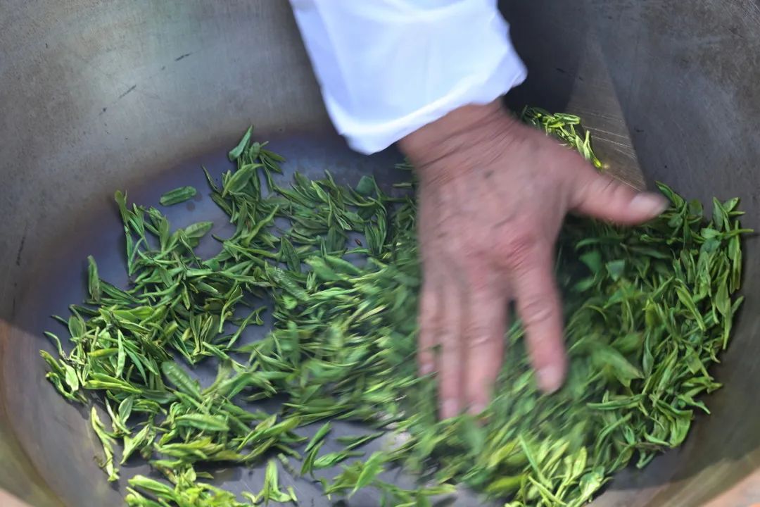 诸暨西施石笕茶夺魁