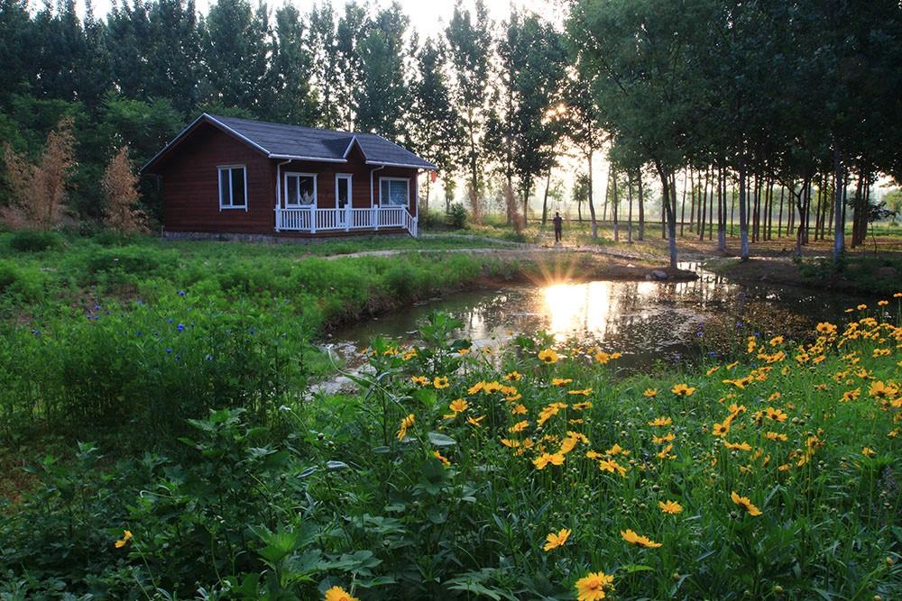 青岛莱西邀您共绘乡村振兴齐鲁样板新画卷面向全国招募乡村振兴合伙人