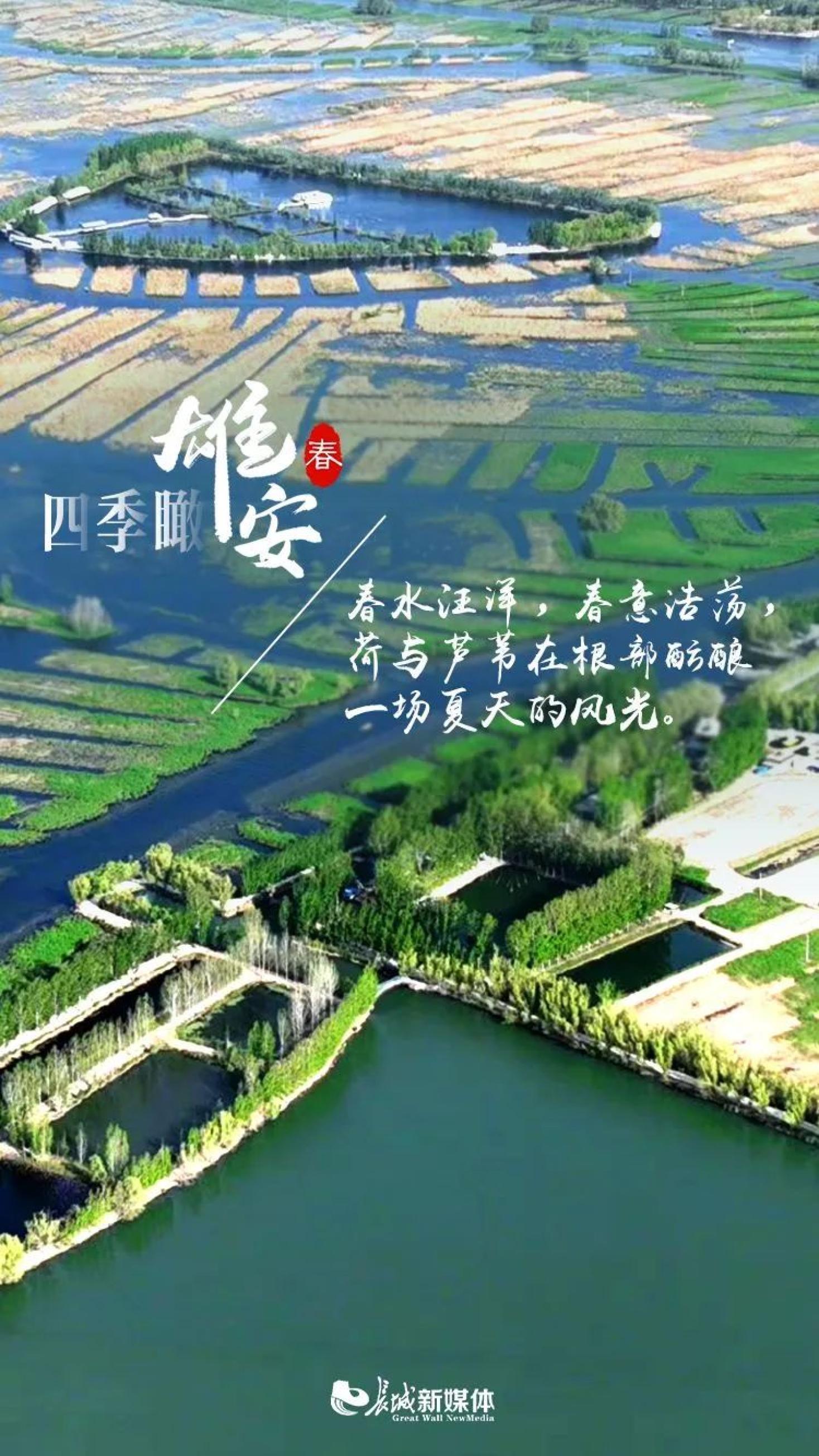 雄安新区管理委员会运营:河北日报报业集团原标题:《海报派|四季瞰