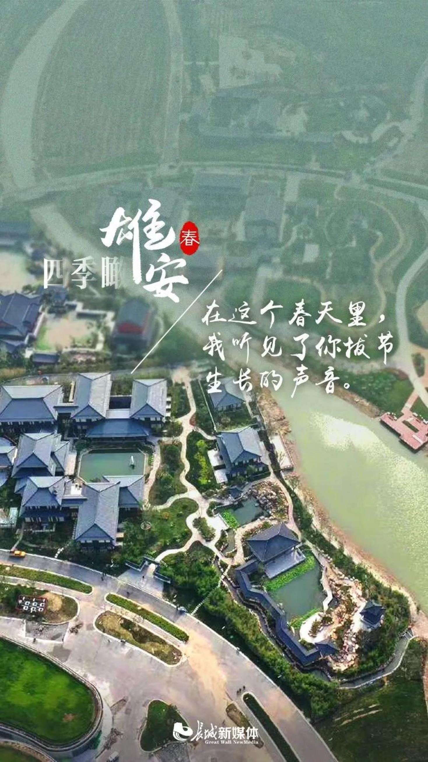 海报派四季瞰雄安春