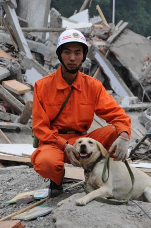 汶川地震图片 汶川地震海报素材-汶川地震海报模板-汶川地震海报图片免费下载-设图网