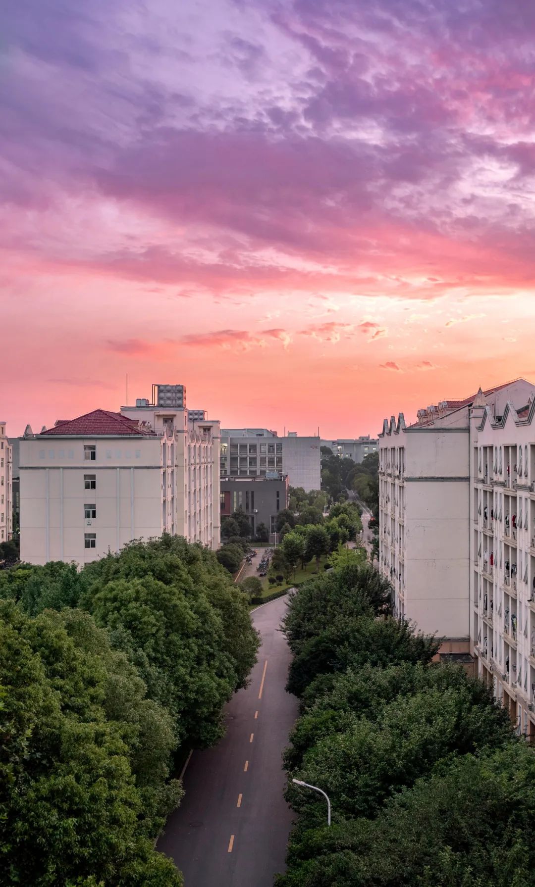 华中农业大学景园楼图片