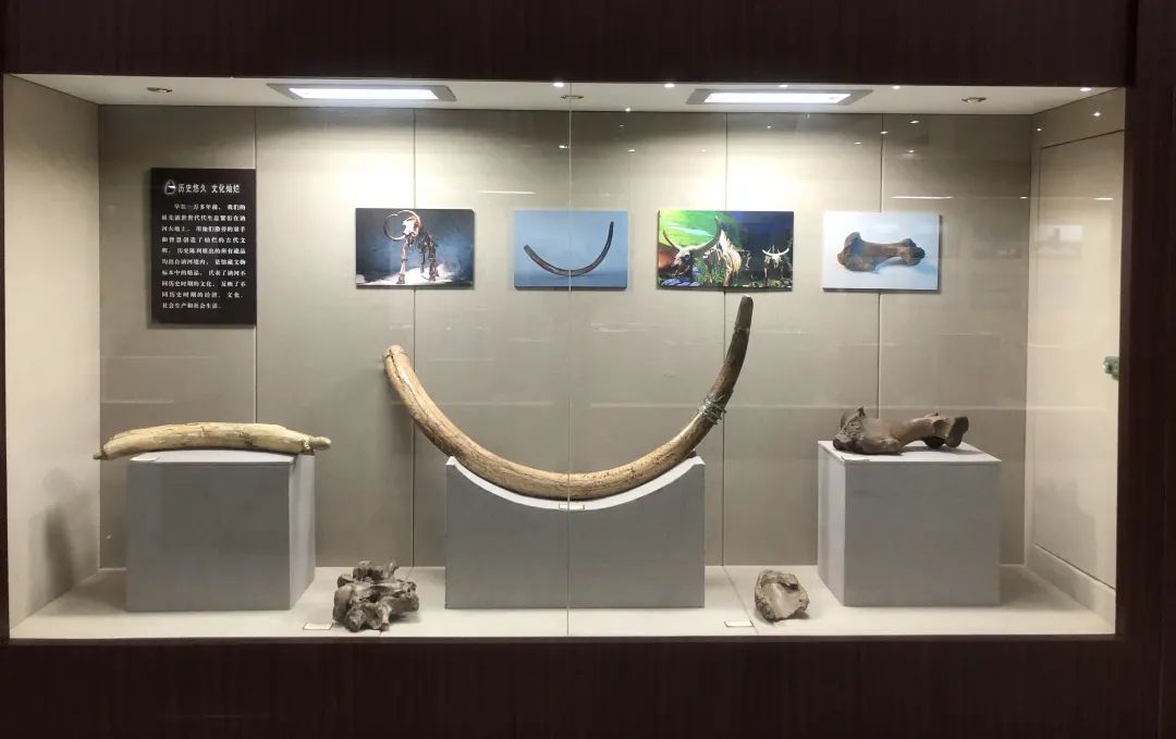 讷河市博物馆——孔国采摘园——龙河禹博龙泉山庄红色文化体验游线路