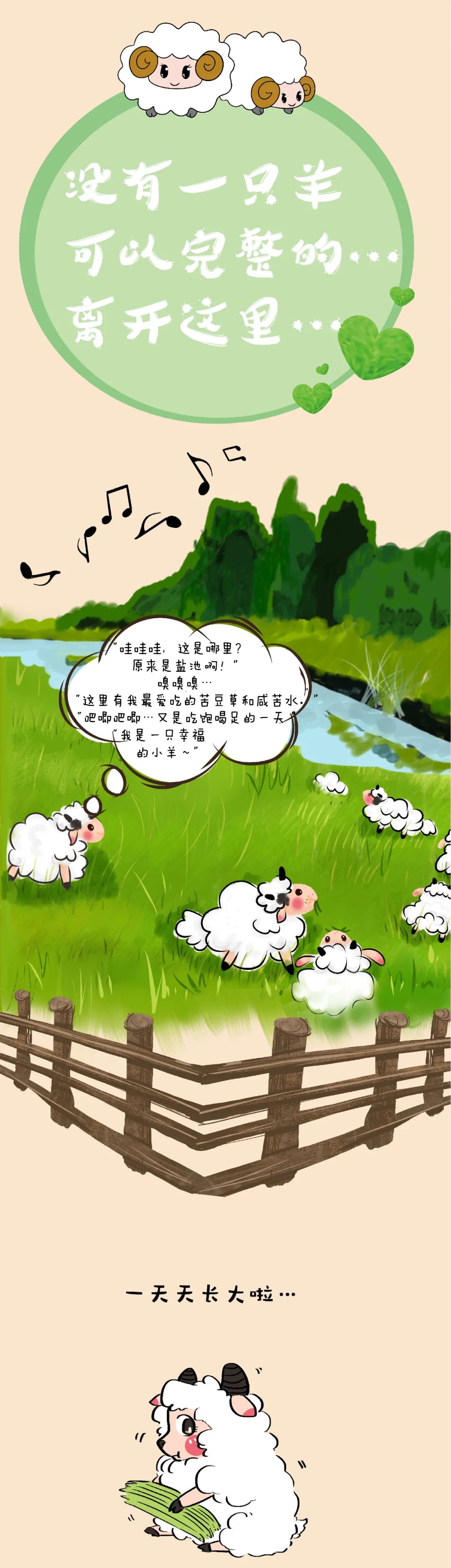 盐池"羊"名海内外!一起揭秘"盐池滩羊的那些事儿"