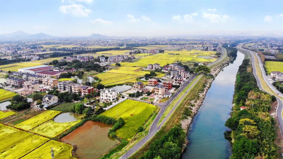 余上共富⑤余杭街道探索禹上稻乡特色抱团模式加速苕溪南北共振共富