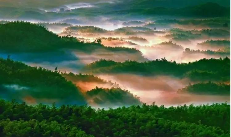 诗词竹海吟外一首覃鸿杰