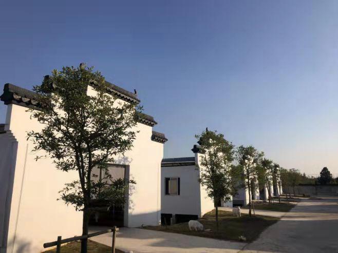 获中央财政支持！浙江2个产业园、1个产业集群、4个产业强镇入选这一创建名单