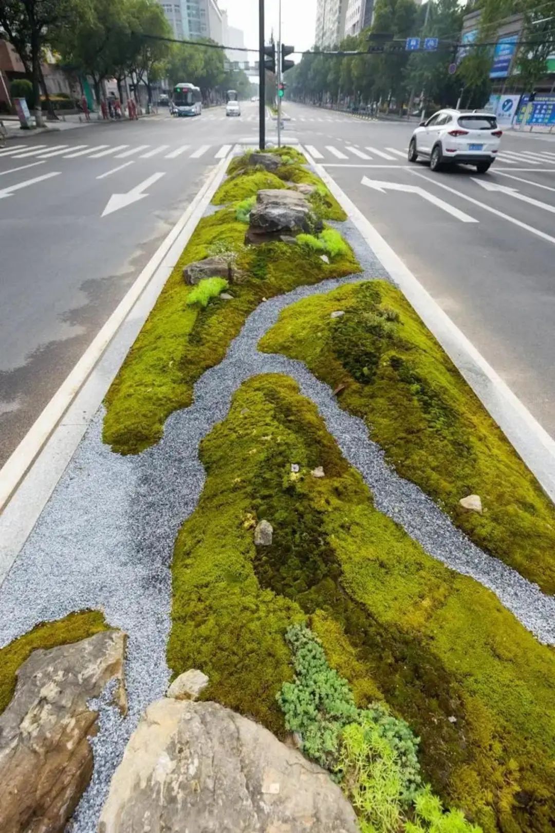 麗水市區苔蘚城市微景觀成為一道別樣的風景