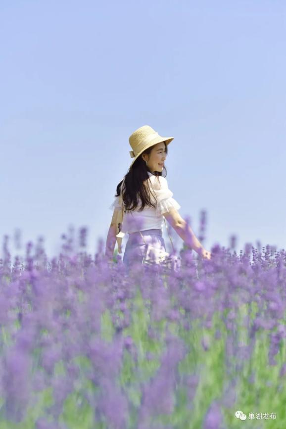 是花更是画 尖山湖薰衣草花海来了