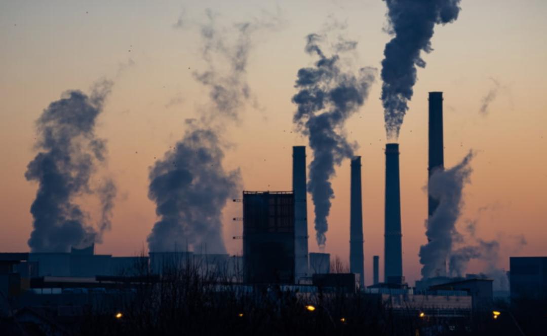 研究显示环境污染每年致900万人死亡