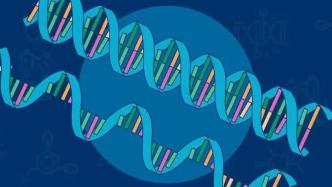 RNA的进化，研究提出地球起源新理论