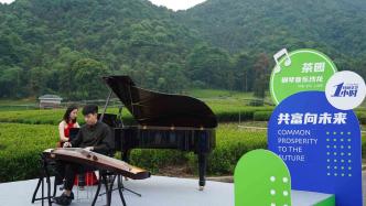 共富向未来，杭州这场茶园里的钢琴音乐会，沁人心脾
